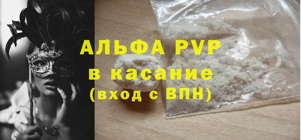 шишки Арсеньев
