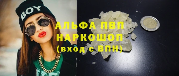 шишки Арсеньев