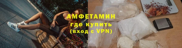 шишки Арсеньев