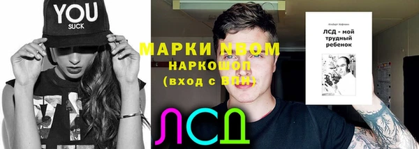 шишки Арсеньев