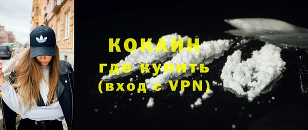 шишки Арсеньев