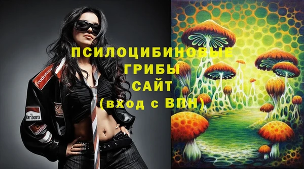 дурь Аркадак