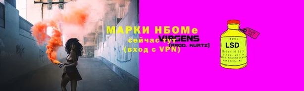 шишки Арсеньев