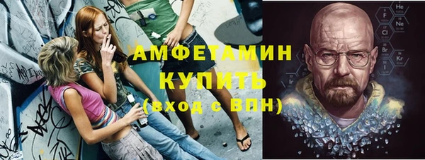 шишки Арсеньев