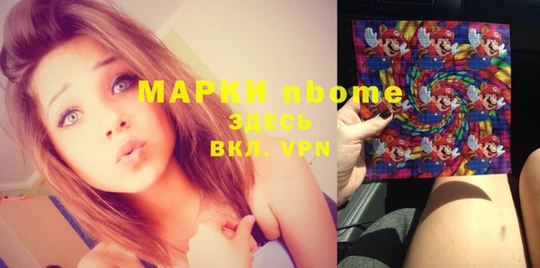 шишки Арсеньев