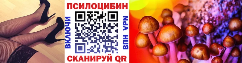 Псилоцибиновые грибы Psilocybine cubensis  Семёнов 